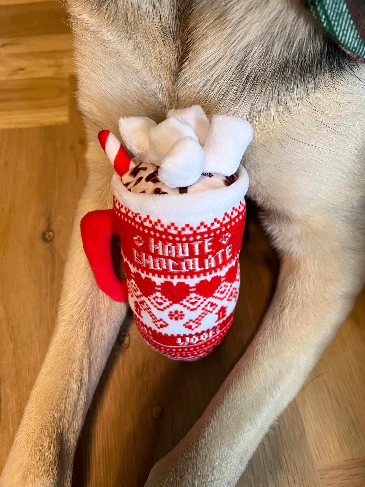Hot Chocolate Dog Toy