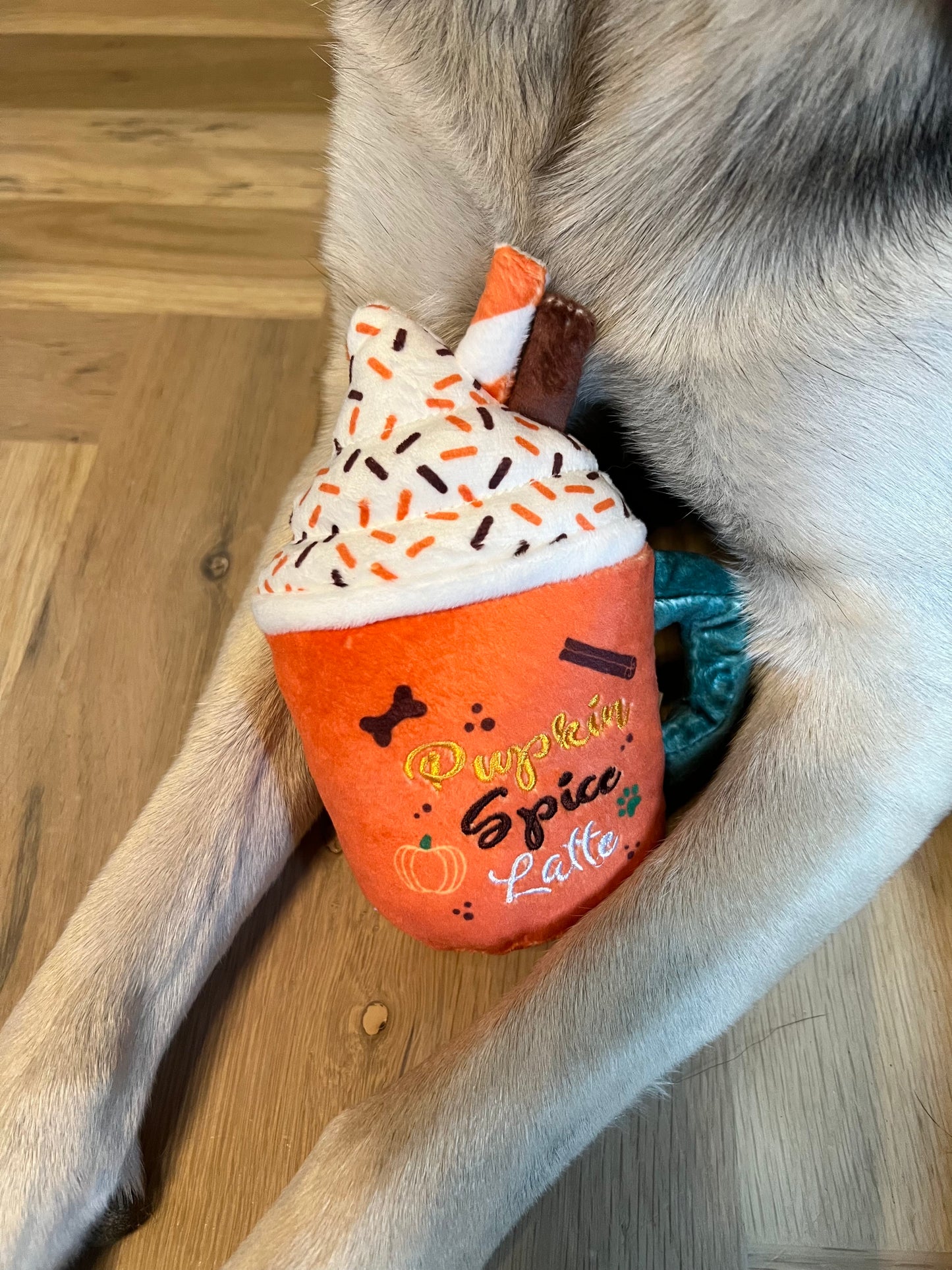 Pumpkin Spice Latte Dog Toy