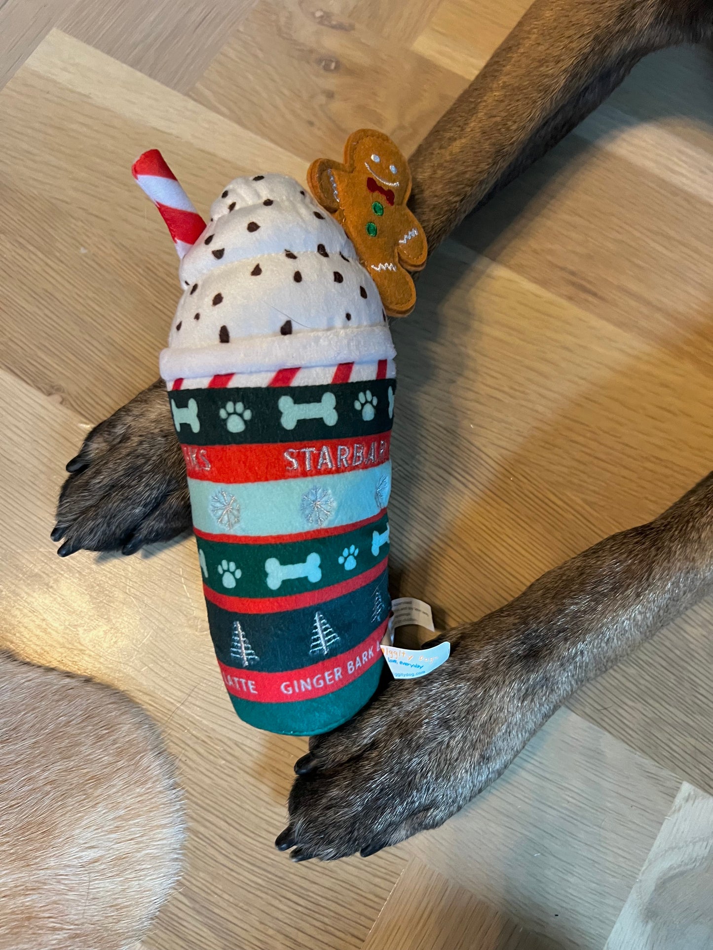 Starbucks Latte Dog Toy