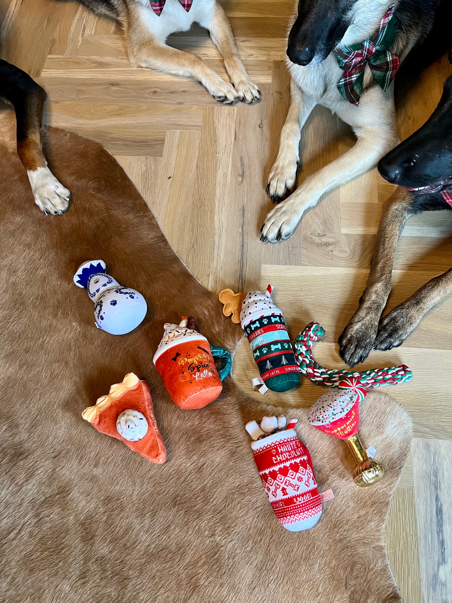 Starbucks Latte Dog Toy