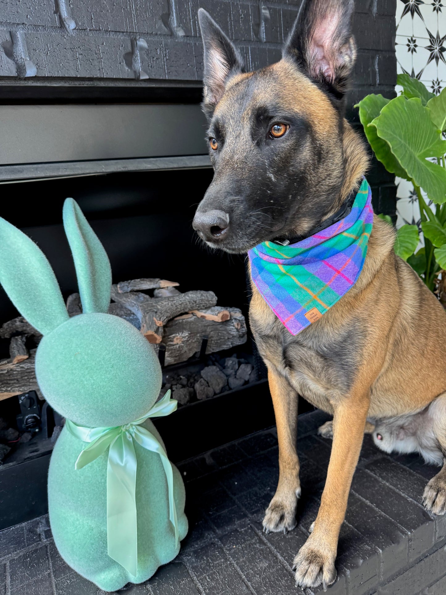 Spring Tartan Dog Bandana