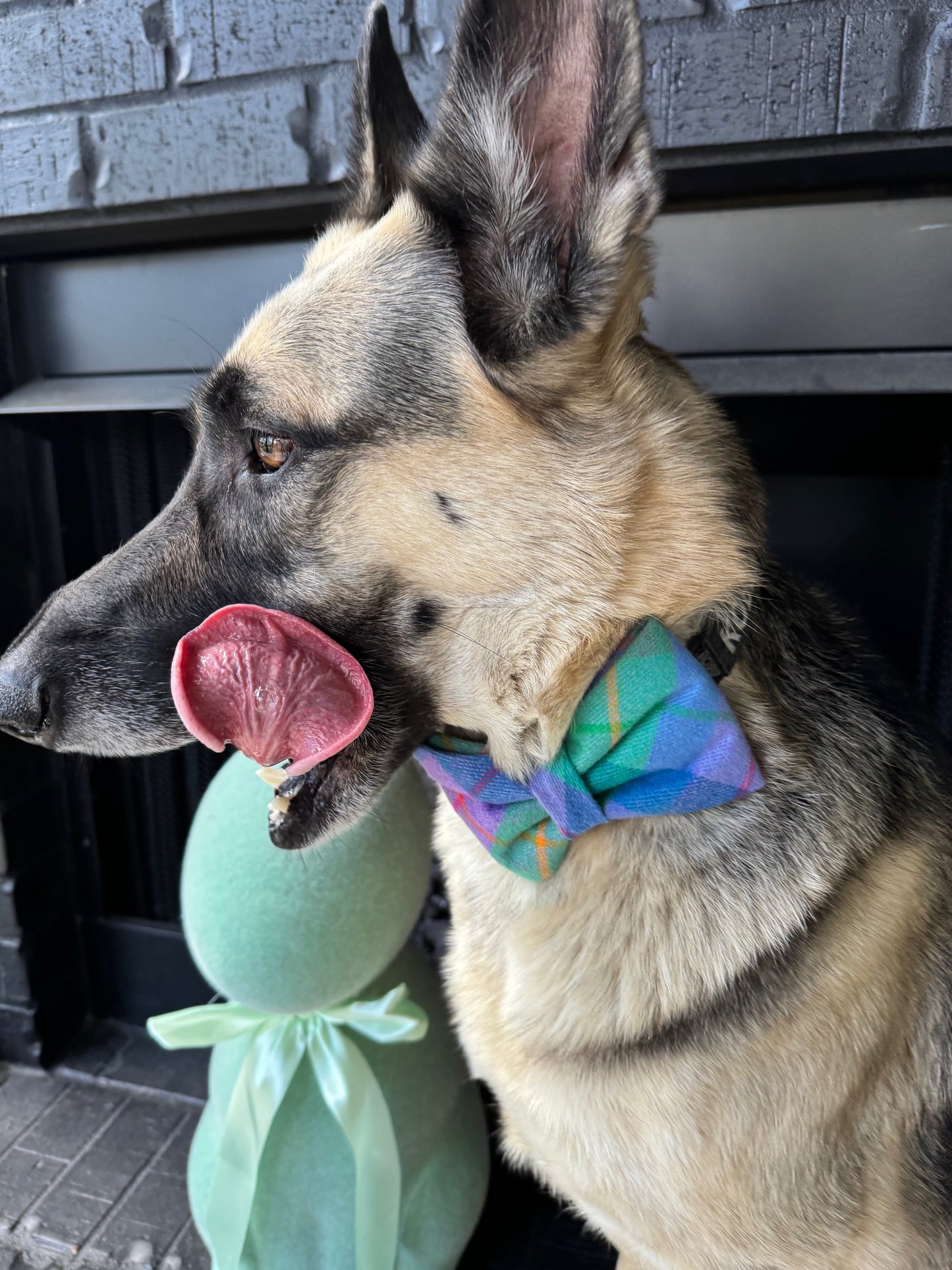Spring Tartan Dog Bow