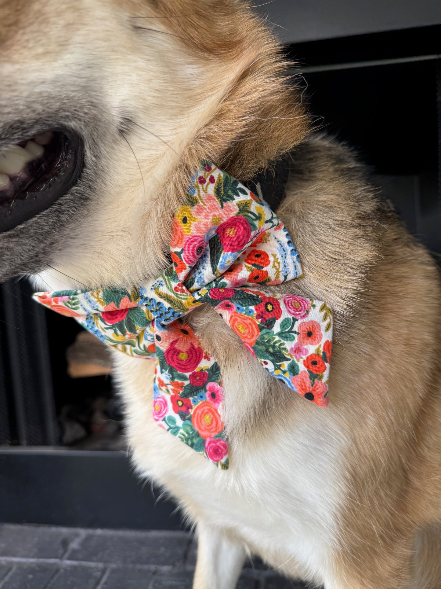 Spring Garden Dog Bow