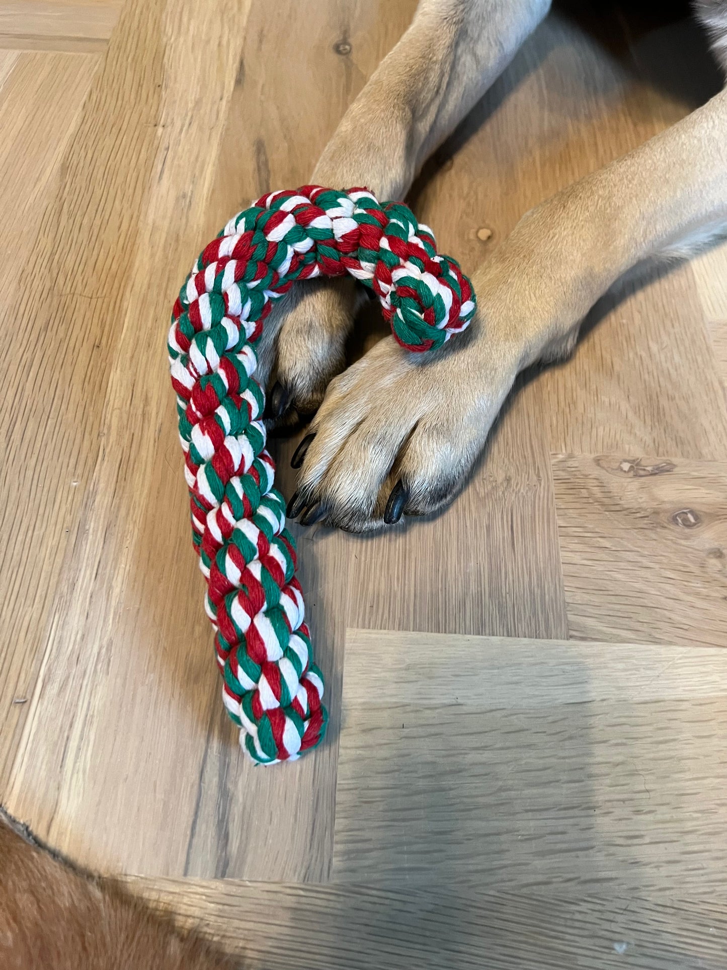 Candy Cane Using Rope Candy Cane Rope Dog Toy – Erin Oprea Basics